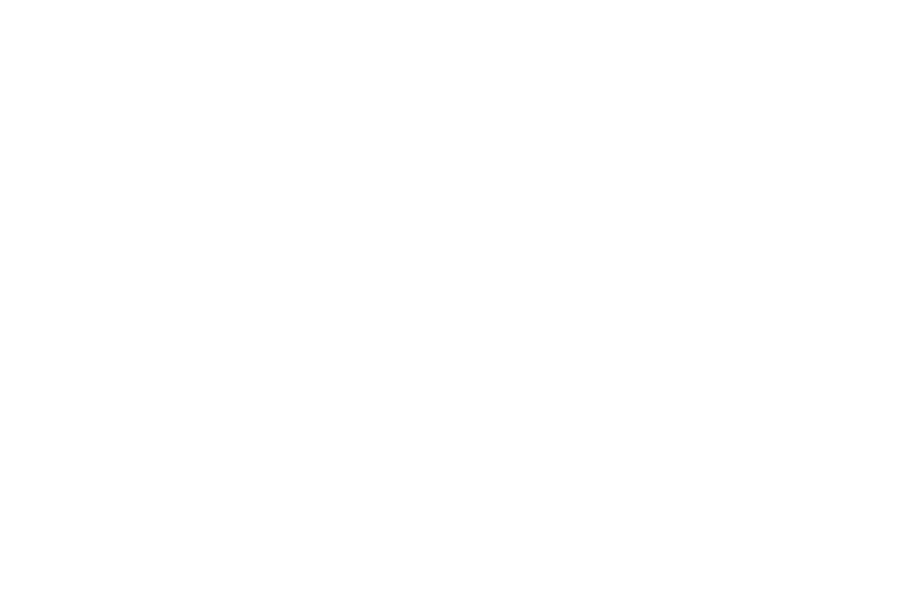 BIRGIT BRAUNSTEIN