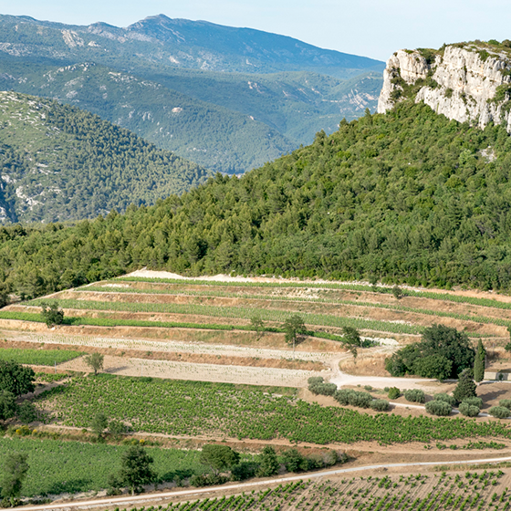 CHÂTEAU DE ROQUEFORT