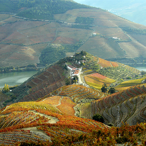 QUINTA DO CRASTO