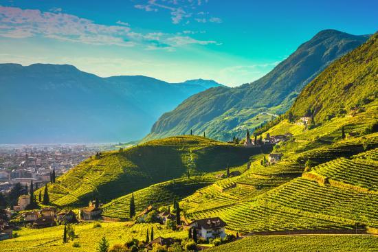 Trentino