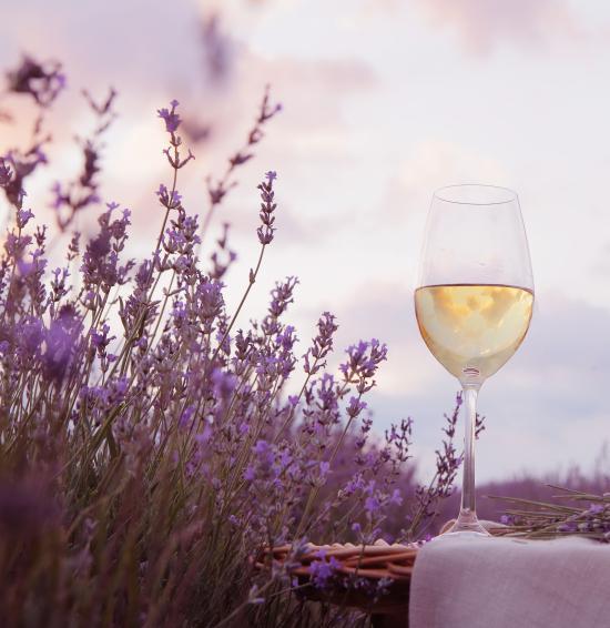 Provence