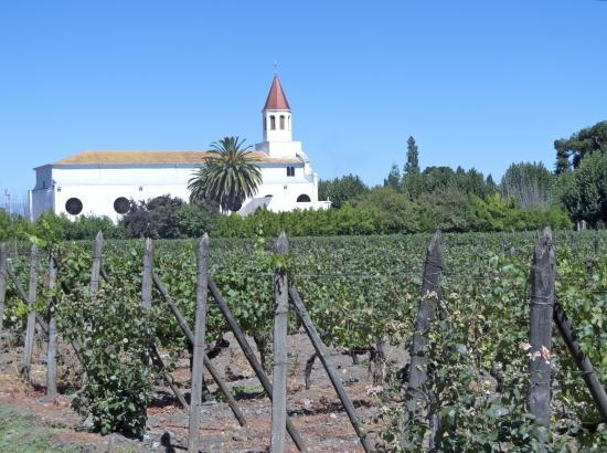 Maipo