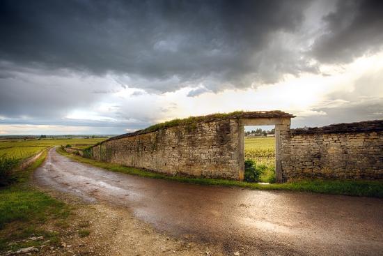 Burgund