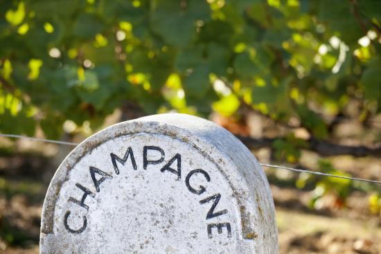 Champagne