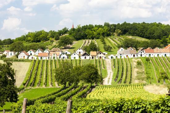 Niederösterreich