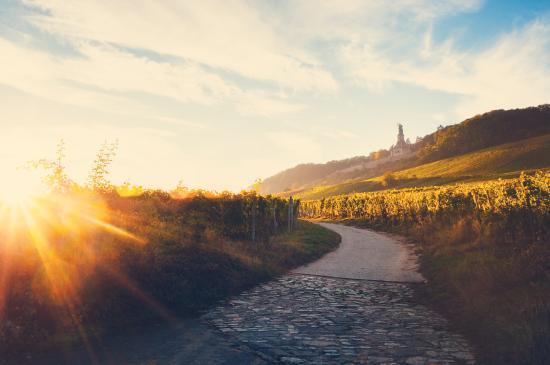Rheingau