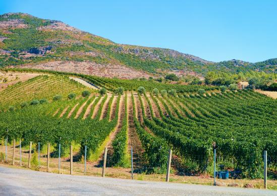 Sardinien