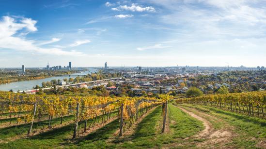 Wien