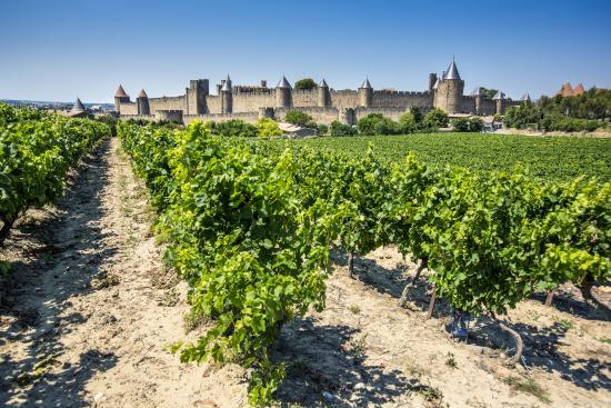 Languedoc