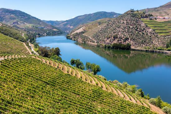 Porto e Douro