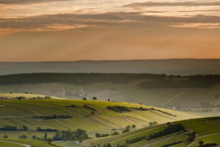 Sancerre