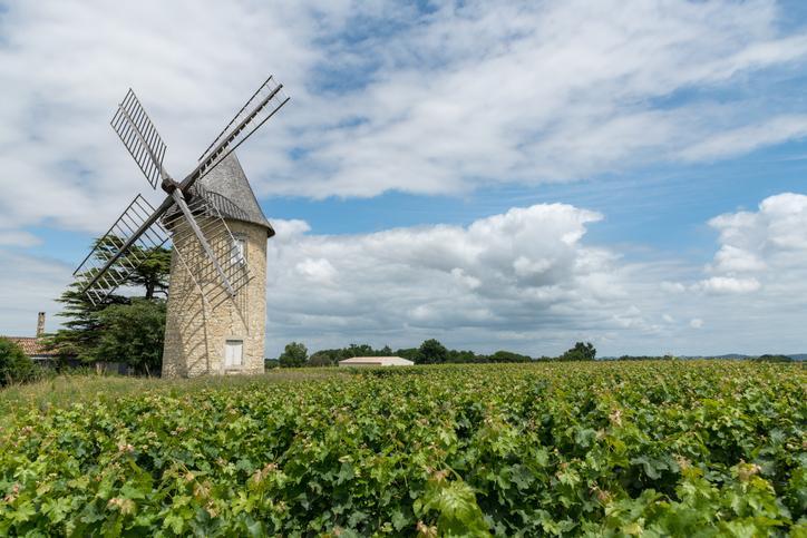 Pauillac