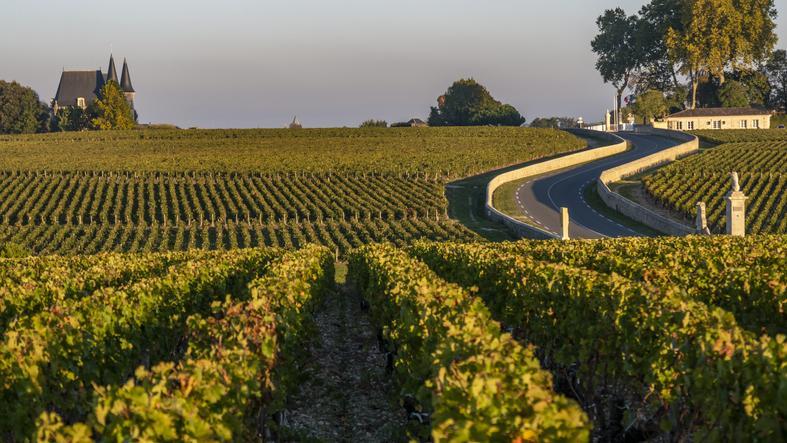 Médoc