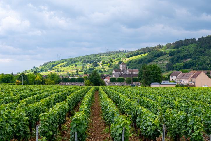 Cote de Nuits