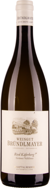 Grüner Veltliner Ried Käferberg 1ÖTW Kamptal DAC 2018