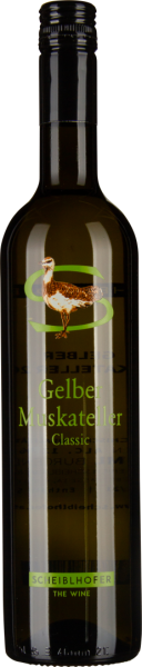 Gelber Muskateller 2025