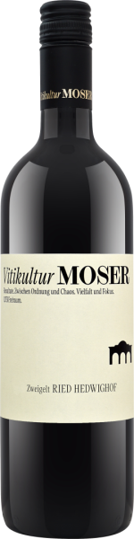 Zweigelt Hedwighof bio 2023