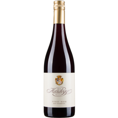 Pinot Noir Steinbügel bio 2023
