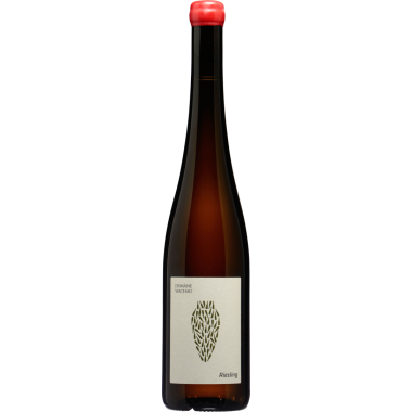 Riesling Amphora 2022