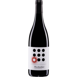 Blaufränkisch Ried Hochäcker Mittelburgenland DAC bio 2023