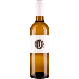 Ulrich Grüner Veltliner Ried in Bergen bio 2024