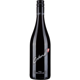 Pinot Noir Ried Bellevue 2019