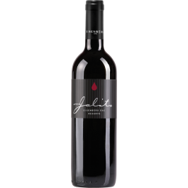 Rarität Blaufränkisch Ried Szapary Eisenberg DAC Reserve 2015