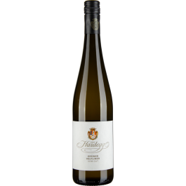 Grüner Veltliner vom Gut bio 2024