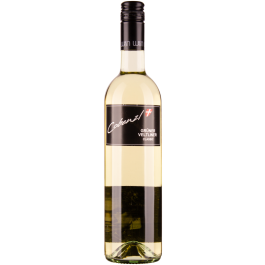 Grüner Veltliner Classic 2025