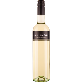Sauvignon Blanc bio 2024