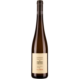 Grüner Veltliner Smaragd Ried Kellerberg Wachau DAC 2023