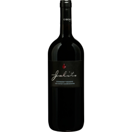 Rarität Blaufränkisch Ried Szapary Eisenberg DAC Reserve 2016