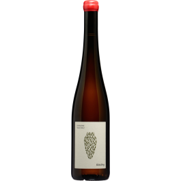 Riesling Amphora 2022