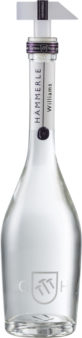 Williams vom ganz Guten