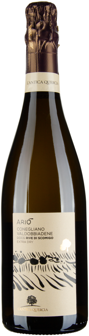 Ariò Prosecco Conegliano Valdobbiadene Superiore DOCG Extra Dry bio