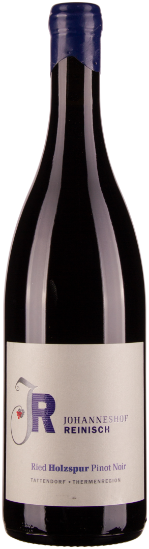 Pinot Noir Ried Holzspur bio 2021