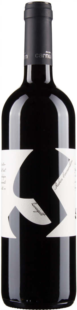 Zweigelt Rubin Carnuntum bio 2022