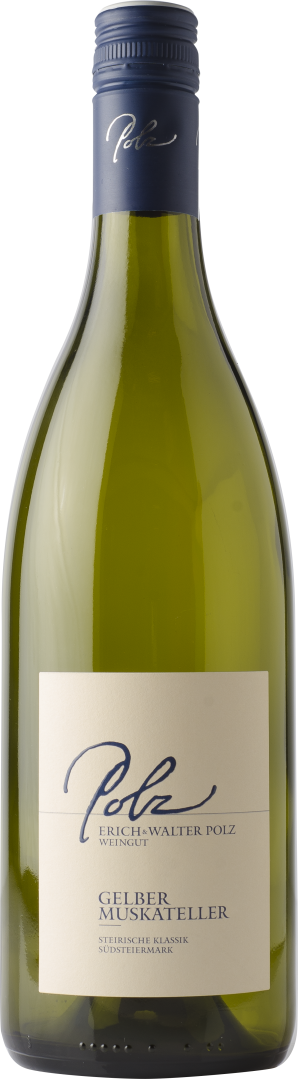 Gelber Muskateller Südsteiermark DAC 2024