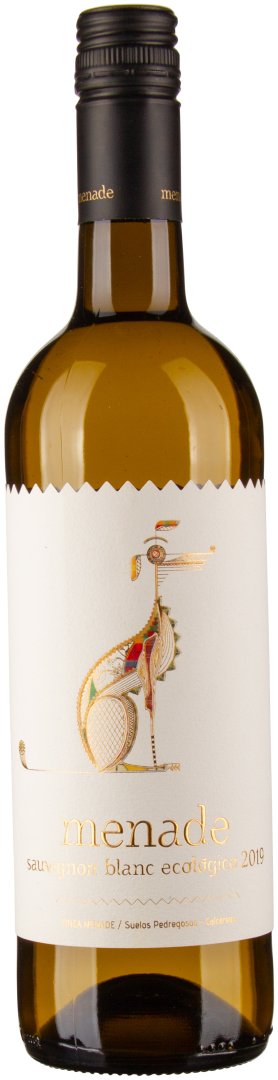 Sauvignon Blanc bio 2024