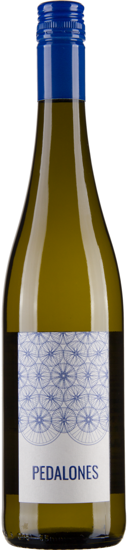 Riesling Nußberg Ried Obere Schoss 2023