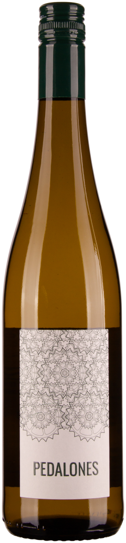 Sauvignon Blanc Nußberg Ried Obere Schos 2023