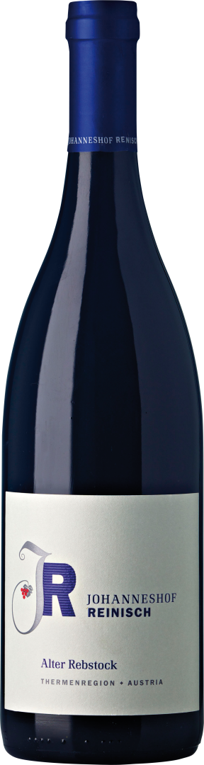 Alter Rebstock bio 2021