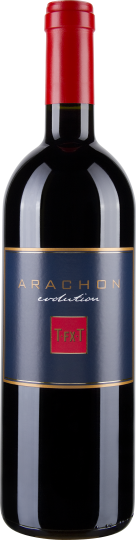 Arachon 2019