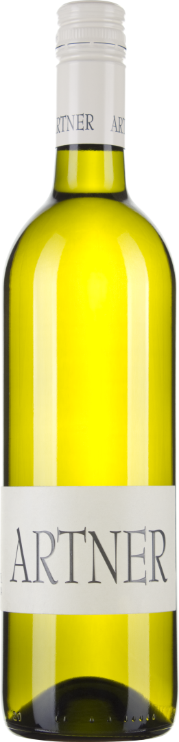 Grüner Veltliner Carnuntum DAC bio 2024