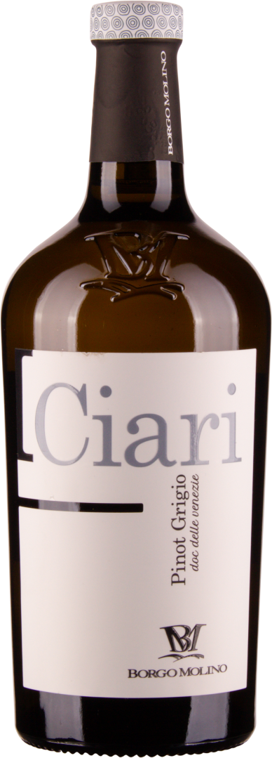 Pinot Grigio DOC 2024