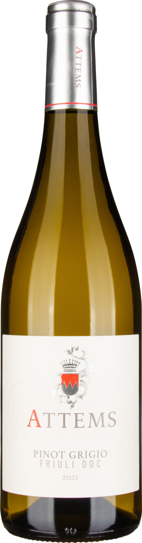 Pinot Grigio Friuli DOC 2024