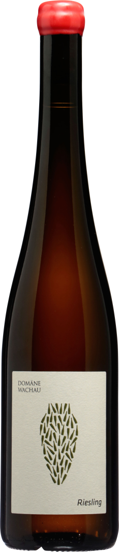 Riesling Amphora 2022