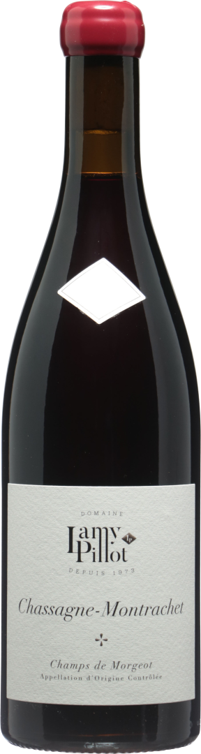 Chassagne-Montrachet rouge Champs de Morgeot 2023