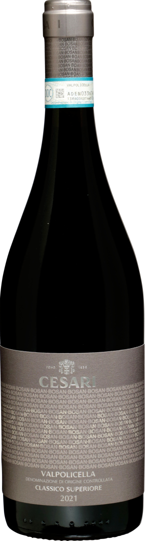 Bosan Valpolicella Classico Superiore 2021