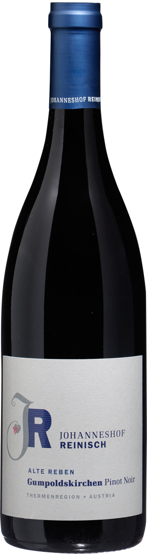 Pinot Noir Gumpoldskirchen Alte Reben Grillenhügel bio 2021